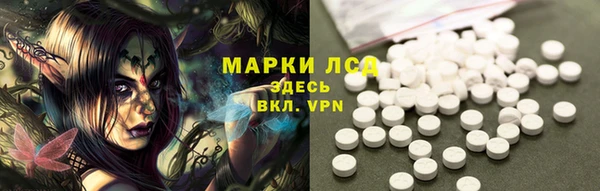 сатива Козловка