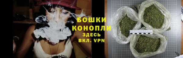 сатива Козловка