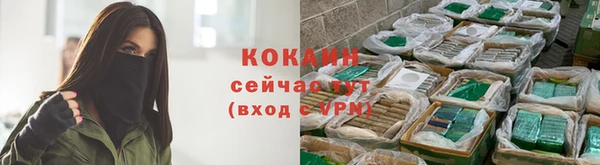 сатива Козловка