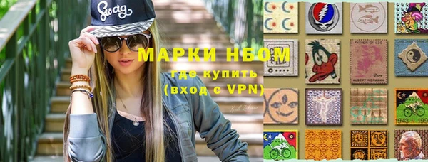 сатива Козловка