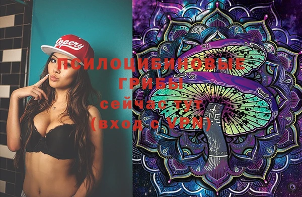 сатива Козловка