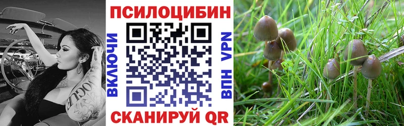 Псилоцибиновые грибы Psilocybine cubensis  Кирсанов 